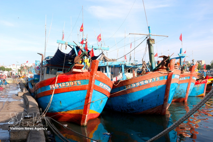 Digital tools power Vietnam’s shift toward smarter fisheries